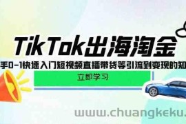 TikTok出海淘金，新手0-1快速入门短视频直播带货等引流到变现的知识