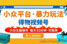 （14194期）小众平台暴力玩法，一键搬运爆款视频，可矩阵小白无脑操作，每天30分钟…