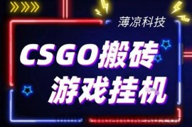 CSGO游戏挂G游戏搬砖最新升级，普通小白一部手机可日入3张+当天见结果，支持验证【揭秘】