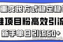 精准项目粉高效引流术，新手单日引流50+，多重变现方式稳定赚钱【揭秘】
