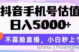抖音手机号估值，日入5000+，不露脸直播，小白秒上手【揭秘】