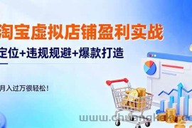 （16387期）淘宝虚拟店铺盈利实战：定位+违规规避+爆款打造，月入过万很轻松！