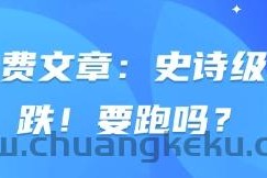 付费文章：史诗级暴跌！要跑吗？