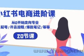 小红书电商进阶课：从0开始走向专业 起号/开店流程/爆款笔记/等等（20节）