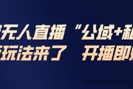 （17098期）淘宝无人直播最新玩法，包含私域和公域两种玩法