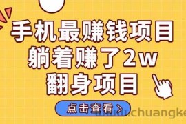 （14539期）暴利项目，手机一键代发视频被动收入1000+，零成本做老板长期管道收益！