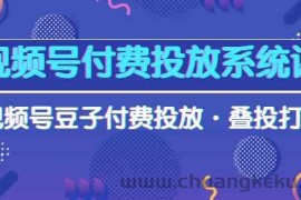 （10111期）视频号付费投放系统课，视频号豆子付费投放·叠投打法（高清视频课）