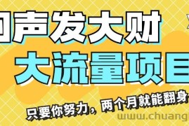 （11688期）闷声发大财，大流量项目，月收益过3万，只要你努力，两个月就能翻身
