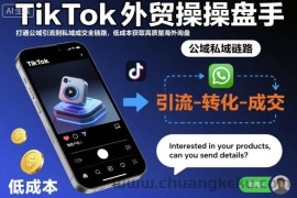 TikTok外贸操盘手，打通公域引流到私域成交全链路，低成本获取高质量海外询盘