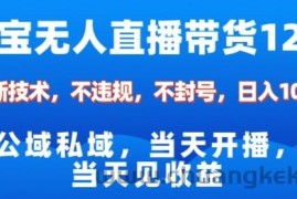 淘宝无人直播12.0，公域私域技术，不封号，不违规布局双十一流量风口，日入1k（独家技术）【揭秘】