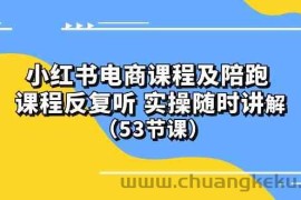 (10170期）小红书电商课程及陪跑 课程反复听 实操随时讲解 （53节课）