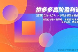 （17072期）拼多多高阶盈利课(更新2026-1月)：从市场分析到诊断优化、微付费与强付费策略，掌握系统运营
