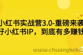 （2861期）小红书实战营3.0-重磅来袭：做好小红书IP，到底有多赚钱？