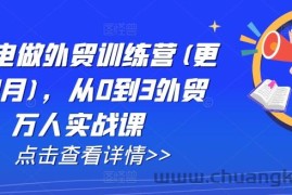 AI闪电做外贸训练营(更新25年4月)，从0到3外贸万人实战课
