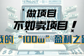 （10930期）为什么做项目不如卖项目？我的100W+盈利之路