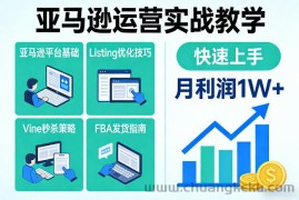 亚马逊运营实战教学，亚马逊平台+Listing优化+Vine秒杀+FBA发货等，快速上手，实现店铺月利润1W