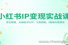 小红书IP变现实战课：定位搭建，光速起号SOP，文案拍摄，0基础也能赚钱