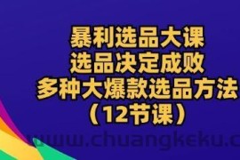 暴利选品大课：选品决定成败，教你多种大爆款选品方法(12节课)