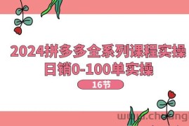 （11222期）2024拼多多全系列课程实操，日销0-100单实操【16节课】