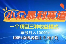 （14300期）【灵狐计划】视频号最新爆火赛道，三种收益模式，0粉新号条条热门原创…