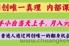 网创唯一真理，内部课程，新手小白当天上手，月入5位数，普通人通过网创唯一的机会【揭秘】