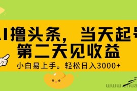 （11314期） AI撸头条，轻松日入3000+，当天起号，第二天见收益。