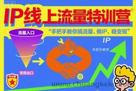 IP线上流量特训营，手把手教你搞流量、做IP、稳变现