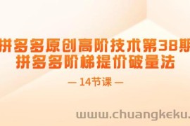 （11704期）拼多多原创高阶技术第38期，拼多多阶梯提价破量法（14节课）
