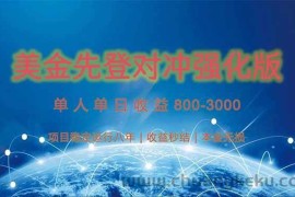 （15012期）美金先登计划对冲强化版，2025年黑马中最暴力收益日收益1k-4k（可放大…