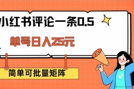 （14351期）小红书评论一条0.5元 单账号一天可得25元 可矩阵操作 简单无脑靠谱