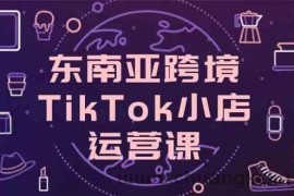 东南亚跨境TikTok小店运营课，掌握店铺设置与流量转化核心技巧