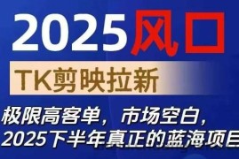 2025风口TK剪映capcut拉新项目，极限高客单，市场空白，2025下半年真正的蓝海项目