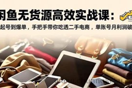 （16875期）闲鱼无货源高效实战课：从起号到爆单，手把手带你吃透二手电商，单账号月利润破万