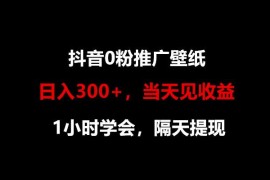 日入300+，抖音0粉推广壁纸，1小时学会，当天见收益，隔天提现