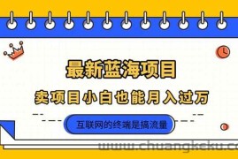 （14289期）2025年最新蓝海项目，卖项目小白也能月入过万