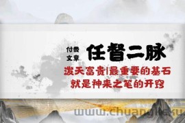 （10659期）某付费文章《任督 二脉 泼天富贵|最重要的基石 就是神来之笔的开窍|万字》