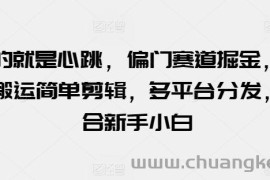 玩的就是心跳，偏门赛道掘金，视频搬运简单剪辑，多平台分发，适合新手小白【揭秘】