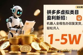 （16529期）拼多多虚拟类目盈利新招：机器人全程包办回复发货，轻松月入 1-5W