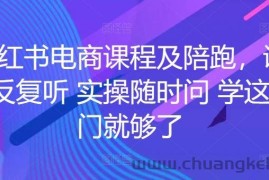 小红书电商课程及陪跑，课程反复听 实操随时问 学这一门就够了