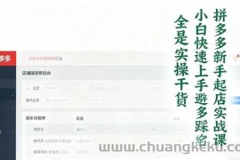 （16584期）拼多多新手起店实战课：小白快速上手拼多多运营，避开踩坑，全是实操干货