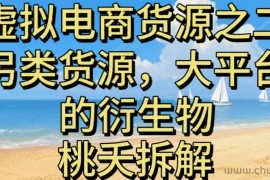 虚拟电商之二—另类的货源，大平台的衍生物