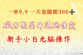 （10519期）快手磁力聚星码信息差 售卖  一单卖9.9  一天也轻松300+ 新手小白无脑操作