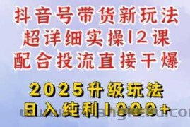 2025全新升级抖音带货玩法，一天纯利四位数，从剪辑到选品再到发布投流，超详细玩法揭秘