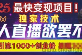 欲罢不能的无人直播引流，超暴力日引流1000+高质量精准创业粉