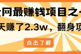 全网首发，暴利项目，每天被动收益1500+，长期管道收益！0成本自己做老板！