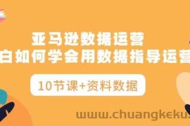 （10158期）亚马逊数据运营，小白如何学会用数据指导运营（10节课+资料数据）