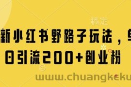 最新小红书野路子玩法，单日引流200+创业粉