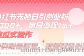 小红书无脑每日引流创业粉500+，小白每天只花半小时，躺赚长尾收益【揭秘】