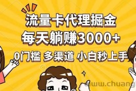 （14348期）流量卡代理掘金，0门槛，每天躺赚3000+，多种推广渠道，新手小白轻松上手