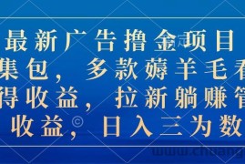 （10906期）最新广告撸金项目合集包，多款薅羊毛看广告收益 拉新管道收益，日入三为数